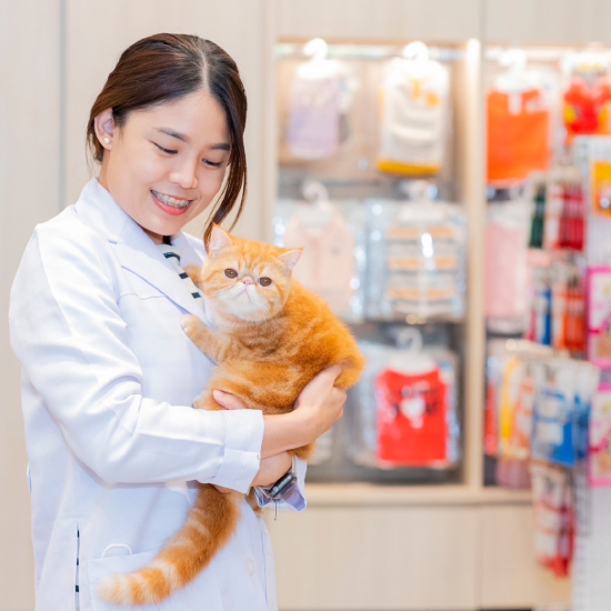 รับส่วนลด 5% สำหรับสินค้าอาหารสัตว์ที่ Pet Shop